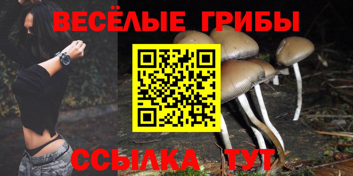 Псилоцибиновые грибы мицелий Лесной