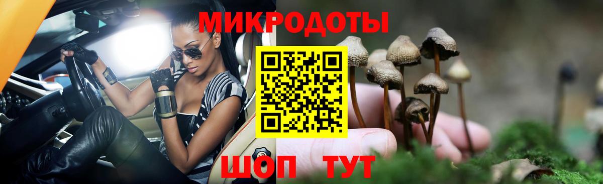 Лесной  Галлюциногенные грибы прущие грибы  Вход с VPN 
